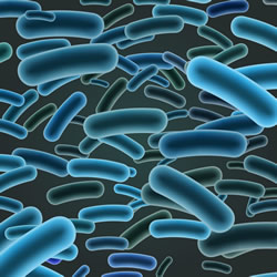 Culture Shift: The New Dynamics of Listeria Environmental Control and Testing