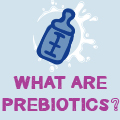 Prebiotics in Infant Formula
