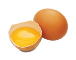 Egg Recall