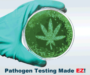 Microbiology Int'l - Pathogen Testing Made Easy