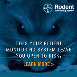 Bayer - Does your rodent monitoring system leave you open to risk?