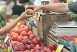 USDA Announces Food Safety Outreach Program Grants
