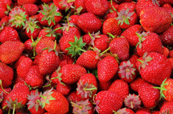 FDA Is Focusing on Safety of Frozen Berries
