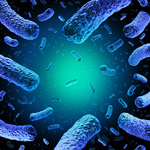 Listeria Outbreak Response: Actions To Take Now