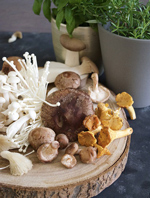 Bulb Onions and Imported Mushrooms Focus of New FDA Food Safety Prevention Strategies
